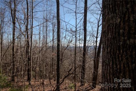 2221 Nighthawk Ridge Court Lenoir NC 28645