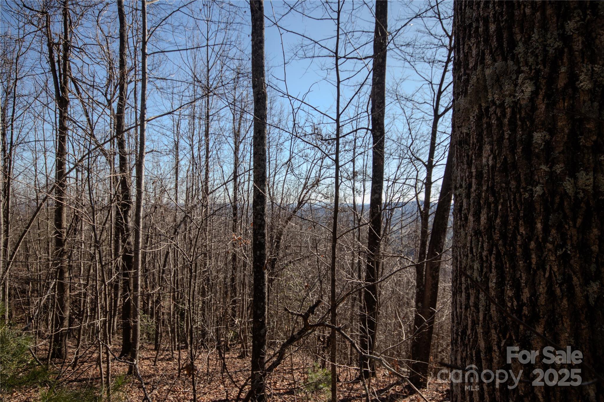 2221 Nighthawk Ridge Court Lenoir NC 28645