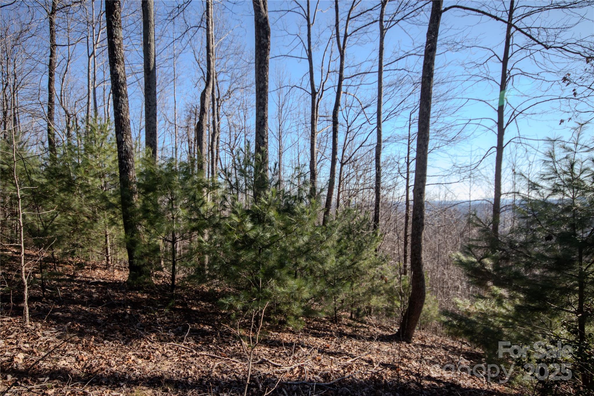 2221 Nighthawk Ridge Court Lenoir NC 28645