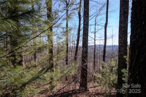 2221 Nighthawk Ridge Court Lenoir NC 28645