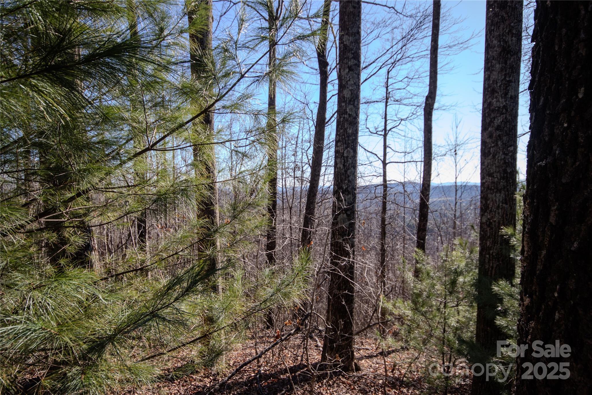 2221 Nighthawk Ridge Court Lenoir NC 28645