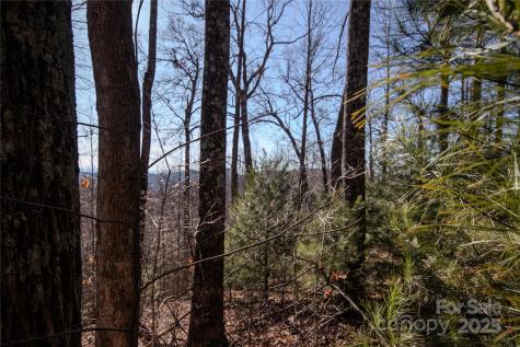2221 Nighthawk Ridge Court Lenoir NC 28645