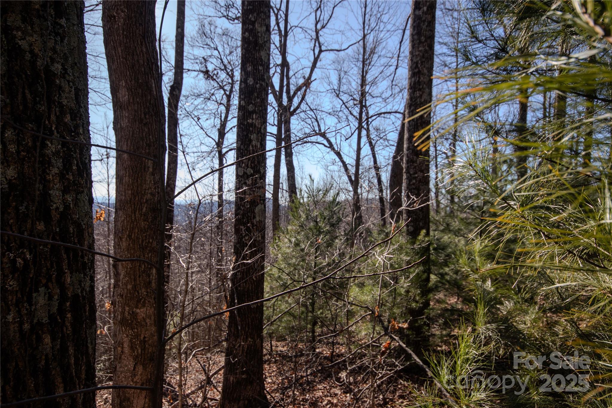 2221 Nighthawk Ridge Court Lenoir NC 28645