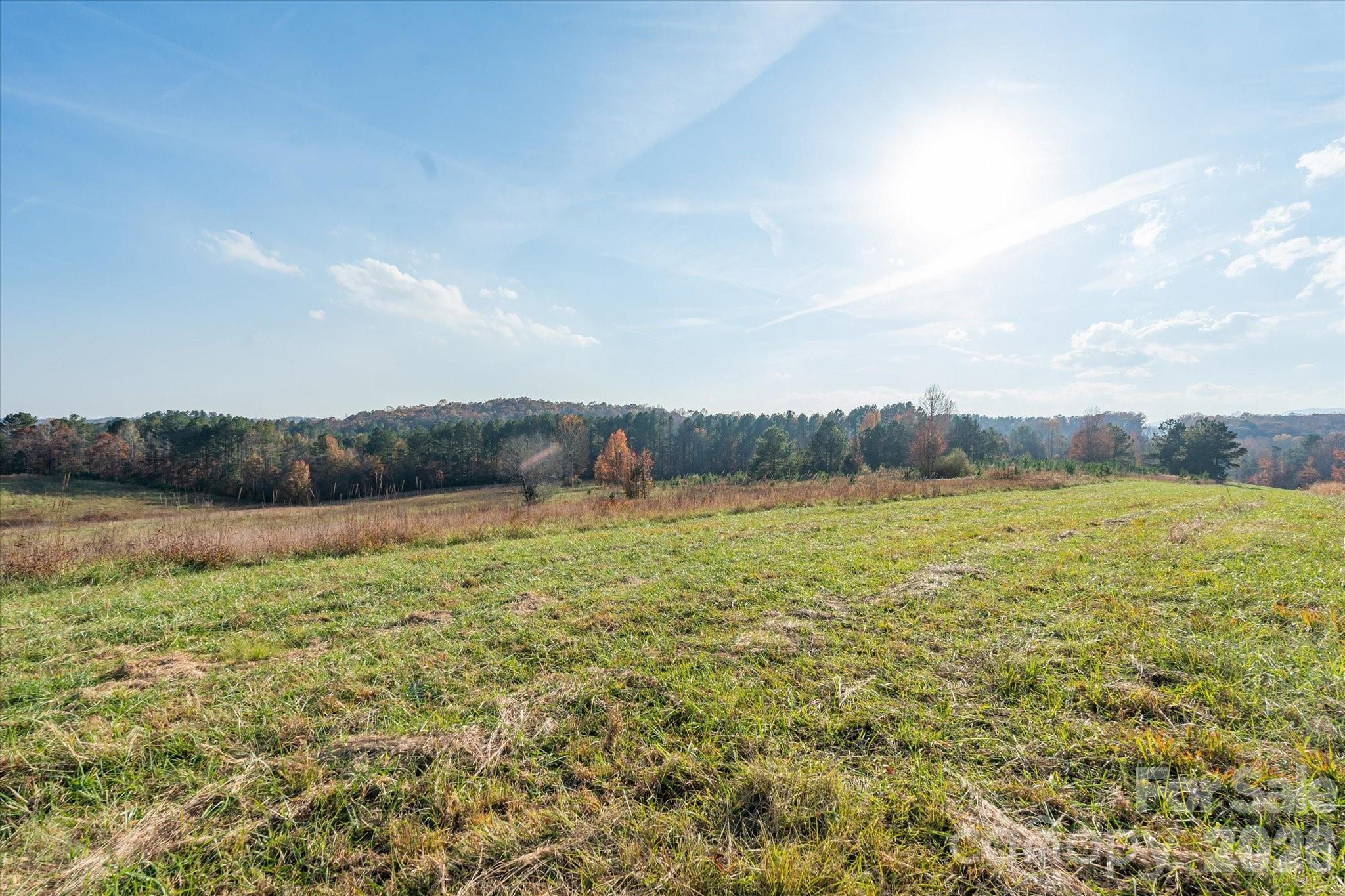 1888 Pea Ridge Road Mill Spring NC 28756
