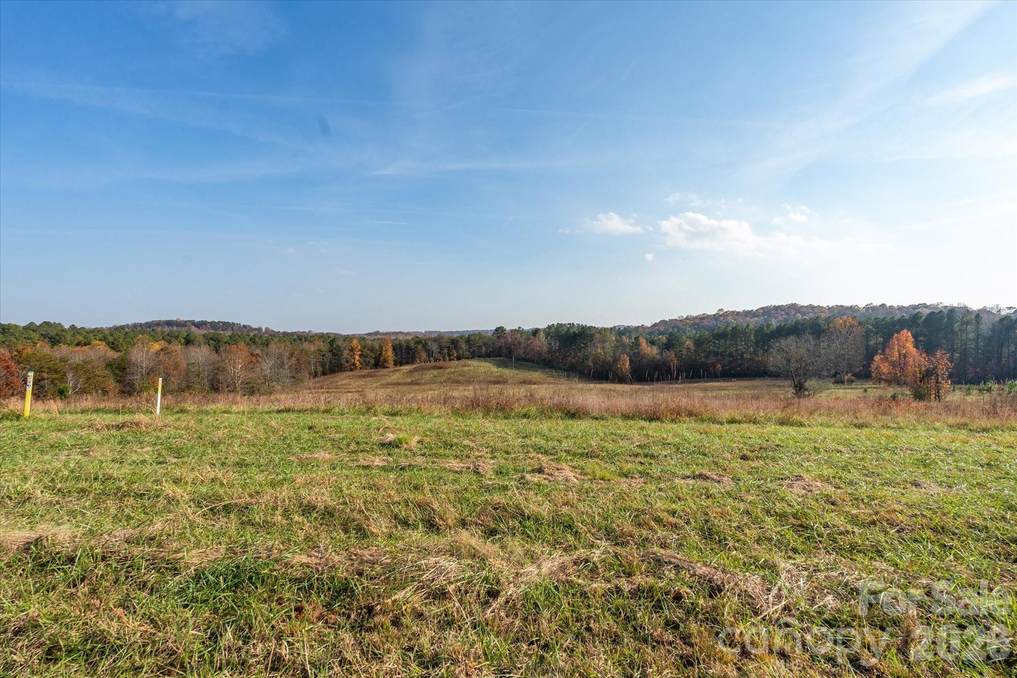 1888 Pea Ridge Road Mill Spring NC 28756