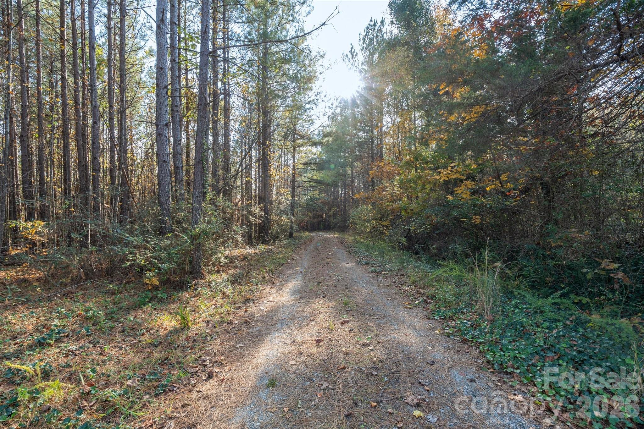 1888 Pea Ridge Road Mill Spring NC 28756
