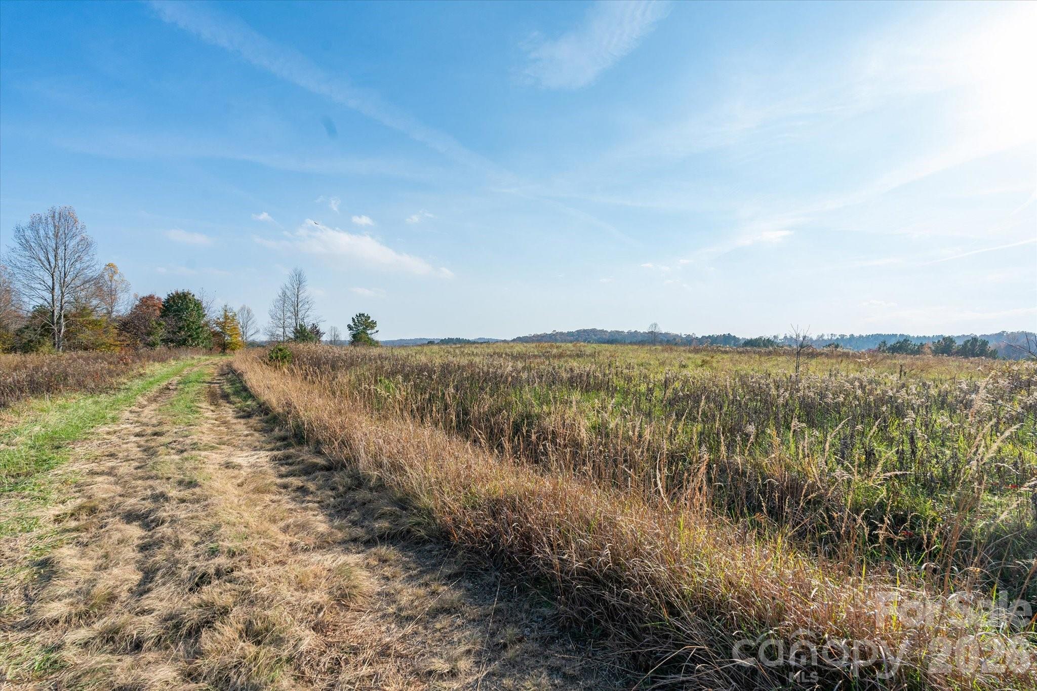 1888 Pea Ridge Road Mill Spring NC 28756