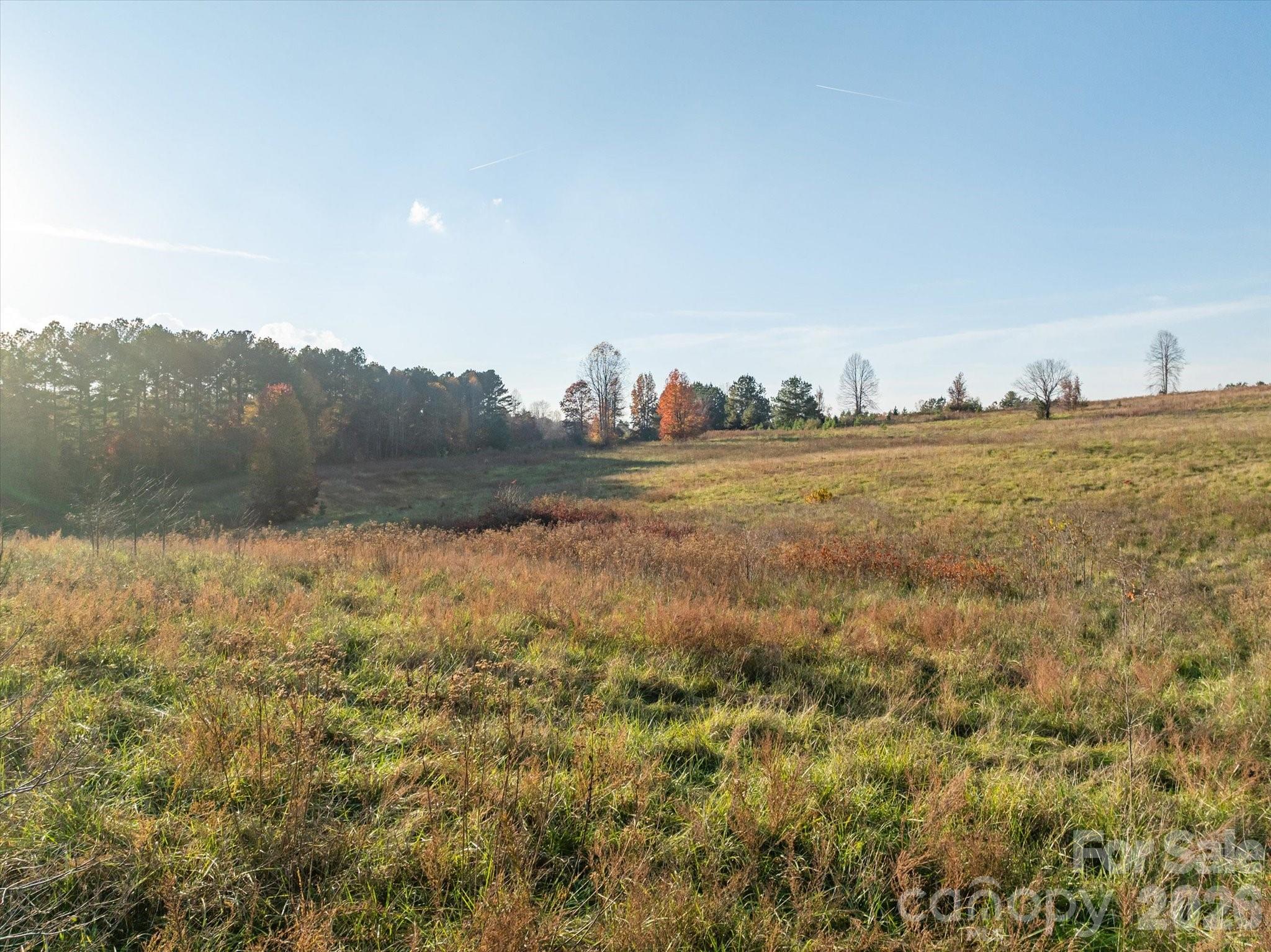 1888 Pea Ridge Road Mill Spring NC 28756