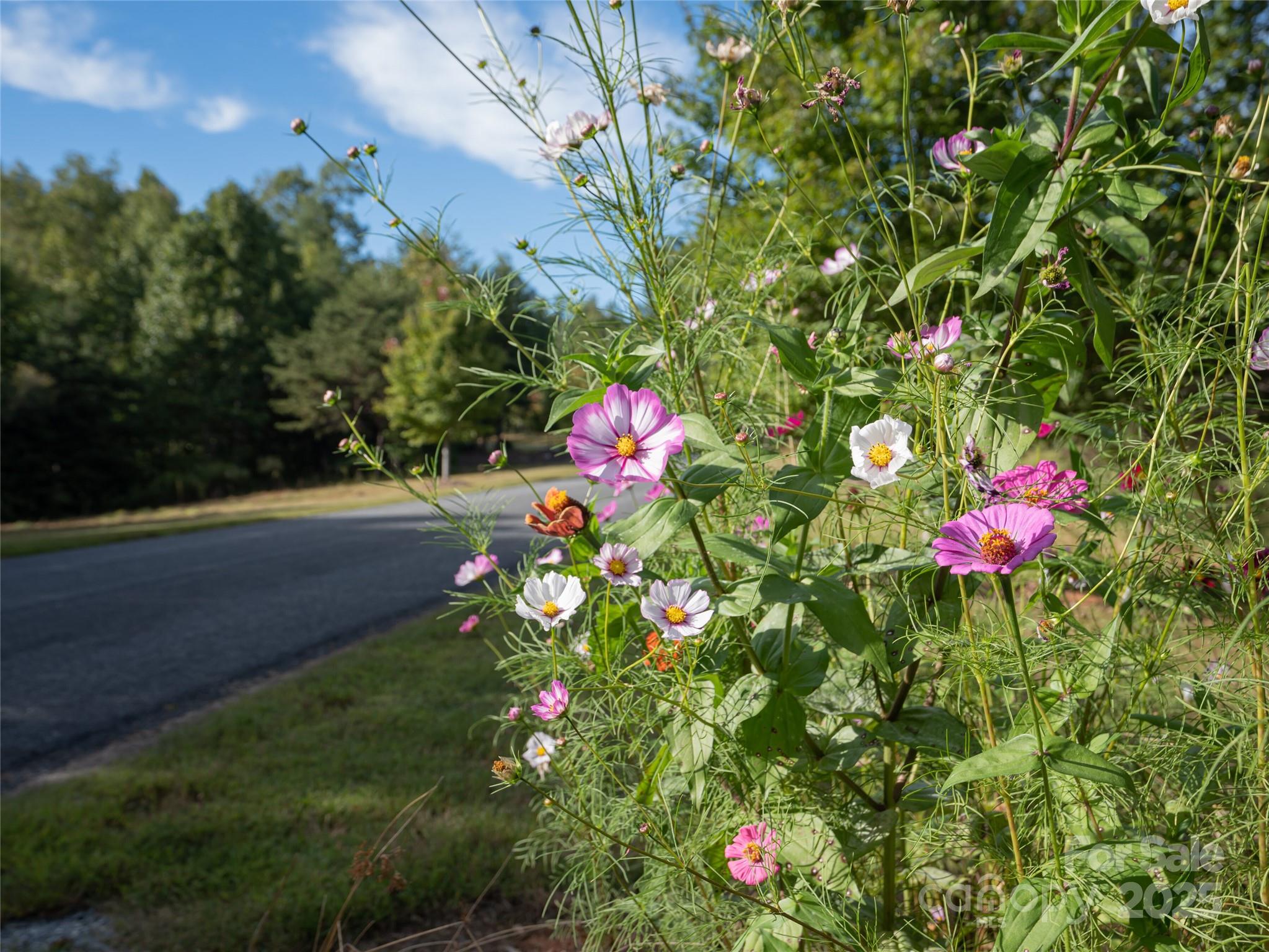 761 High Trail Drive Nebo NC 28761