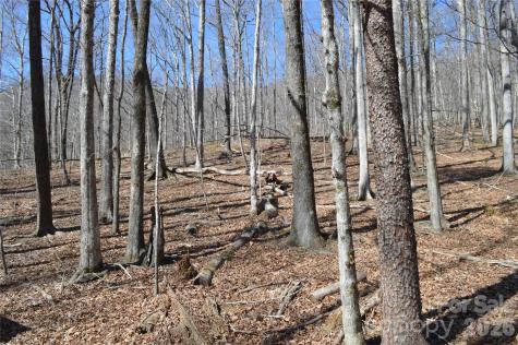 00 Shadow Creek Lane Columbus NC 28722