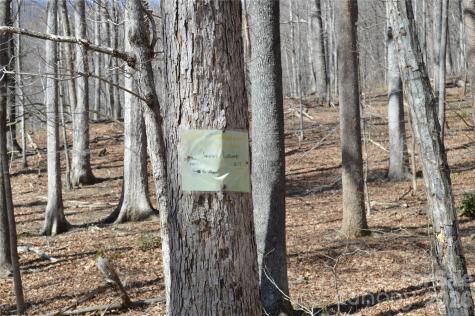 00 Shadow Creek Lane Columbus NC 28722