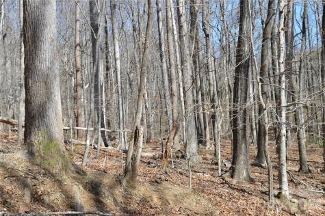00 Shadow Creek Lane Columbus NC 28722