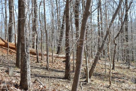 00 Shadow Creek Lane Columbus NC 28722