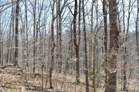 00 Shadow Creek Lane Columbus NC 28722