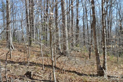 00 Shadow Creek Lane Columbus NC 28722