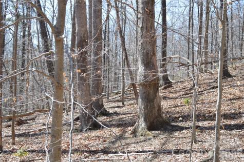 00 Shadow Creek Lane Columbus NC 28722