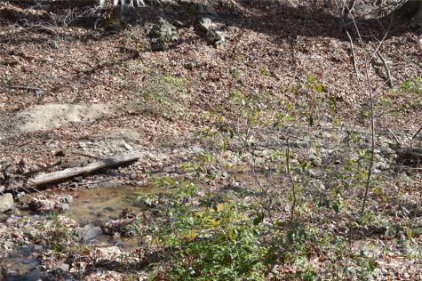 00 Shadow Creek Lane Columbus NC 28722