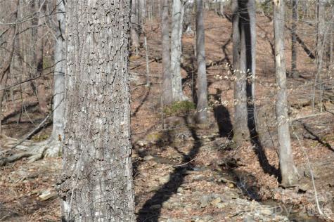 00 Shadow Creek Lane Columbus NC 28722
