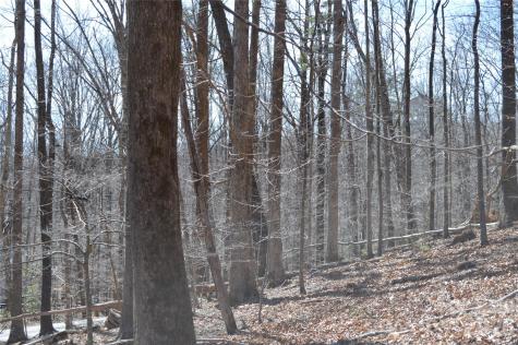 00 Shadow Creek Lane Columbus NC 28722