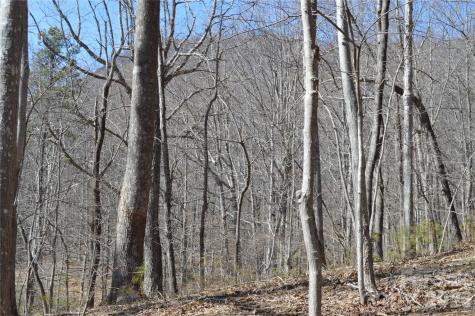 00 Shadow Creek Lane Columbus NC 28722