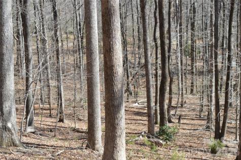 00 Shadow Creek Lane Columbus NC 28722