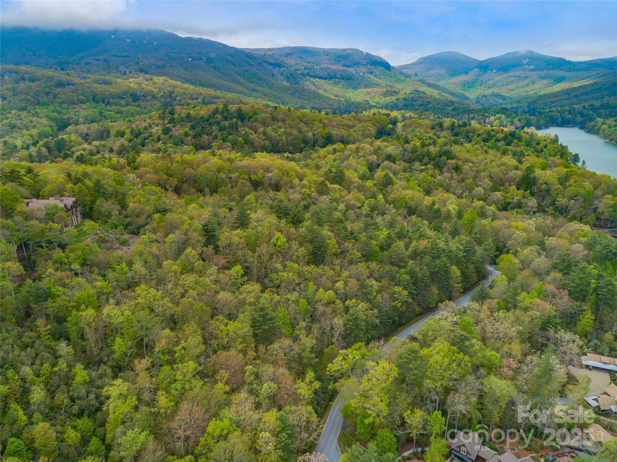 3539 West Club Boulevard Lake Toxaway NC 28747
