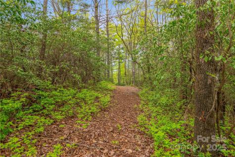 3539 West Club Boulevard Lake Toxaway NC 28747