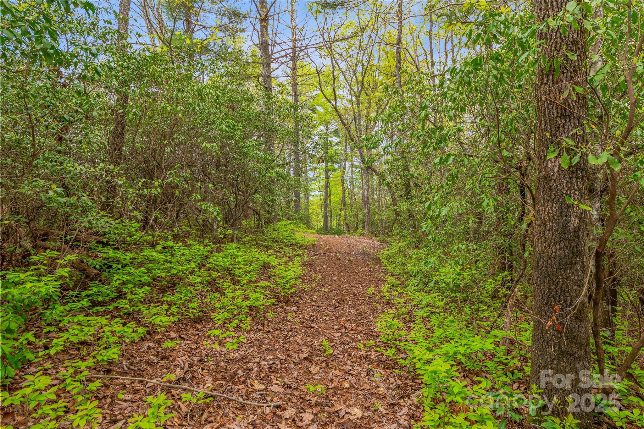 3539 West Club Boulevard Lake Toxaway NC 28747
