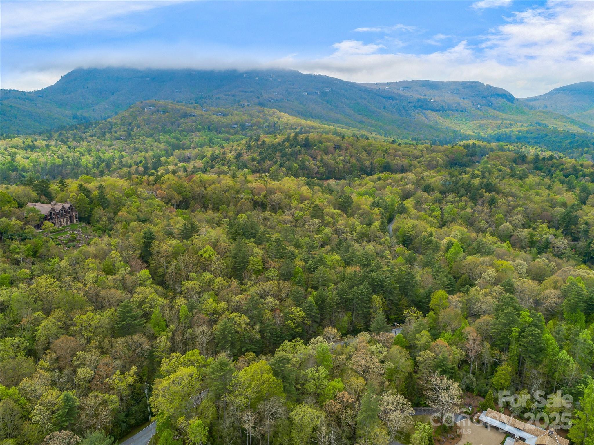3539 West Club Boulevard Lake Toxaway NC 28747