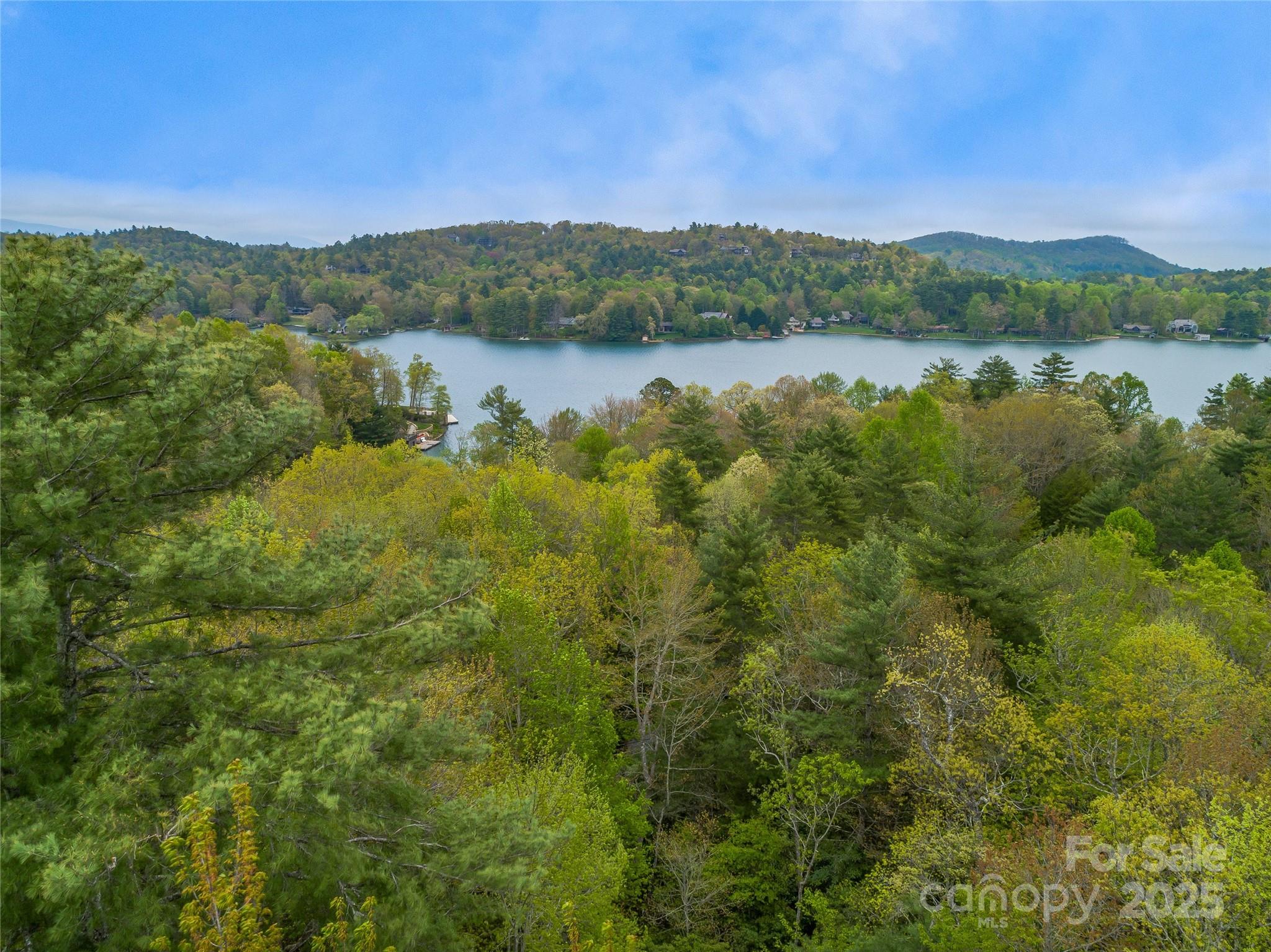 3539 West Club Boulevard Lake Toxaway NC 28747