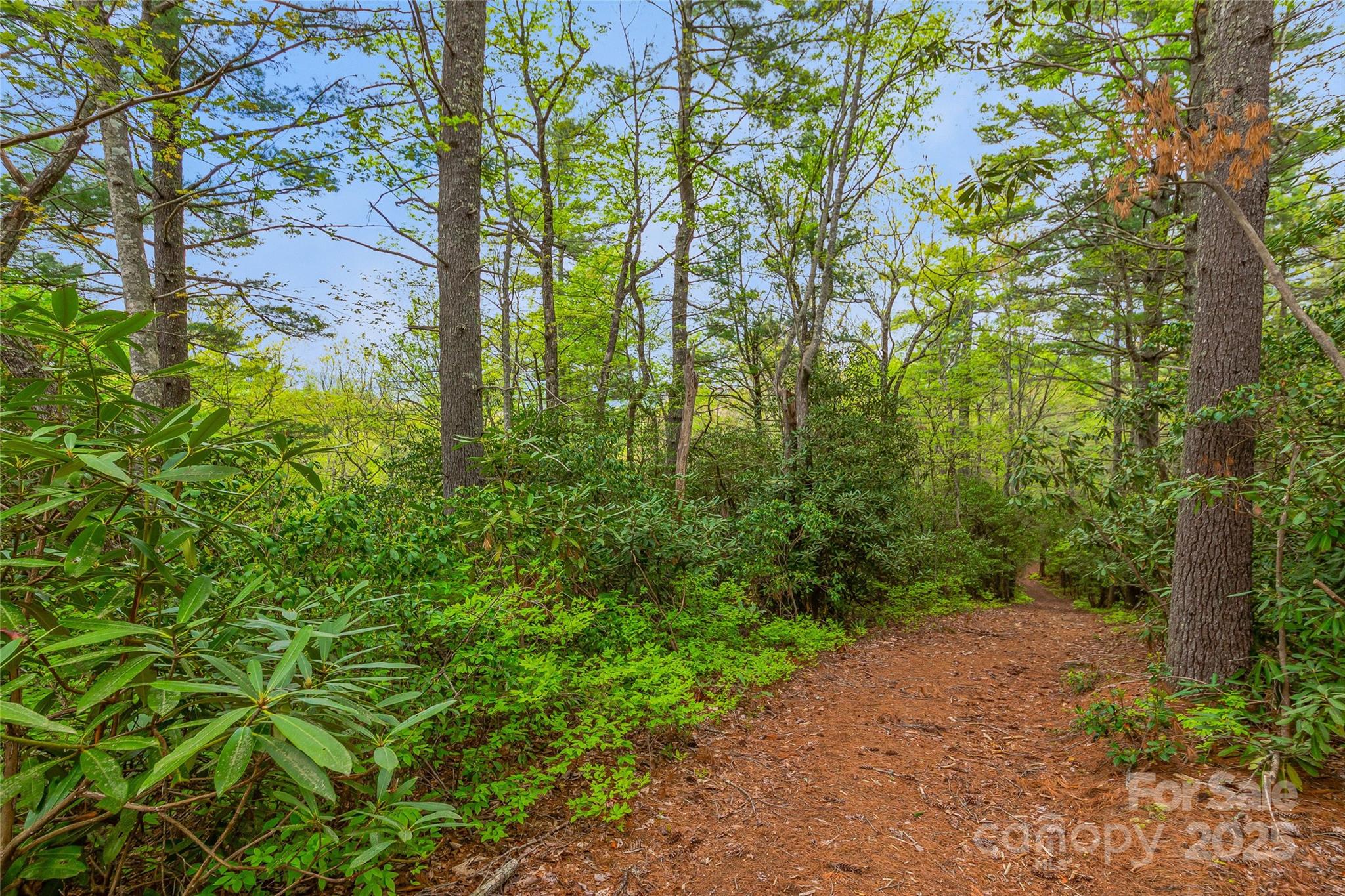 3539 West Club Boulevard Lake Toxaway NC 28747