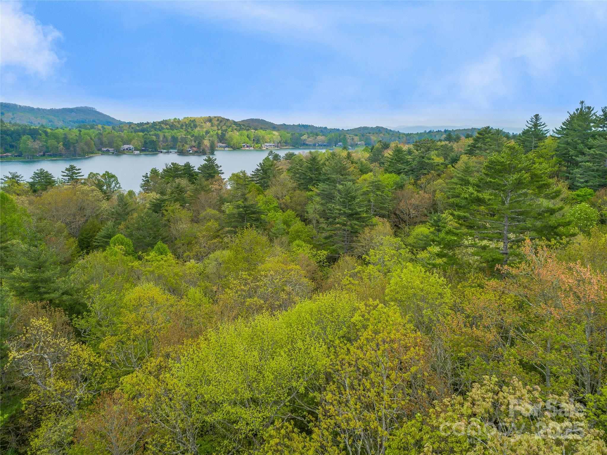3539 West Club Boulevard Lake Toxaway NC 28747