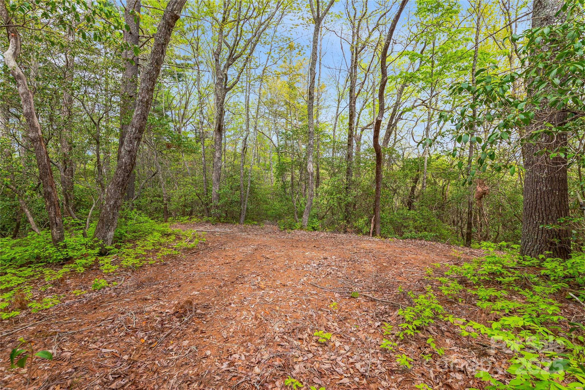 3539 West Club Boulevard Lake Toxaway NC 28747