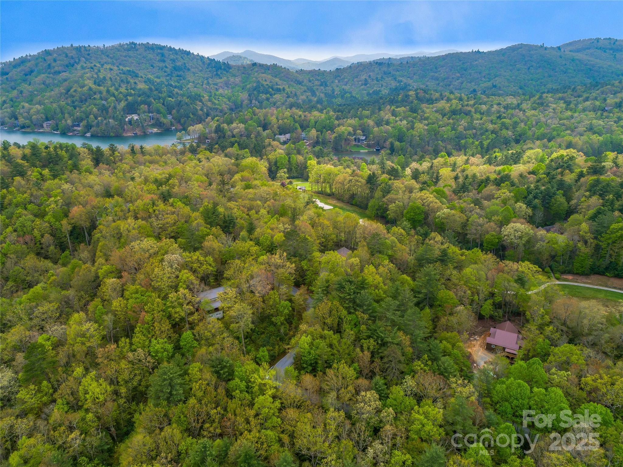 3539 West Club Boulevard Lake Toxaway NC 28747