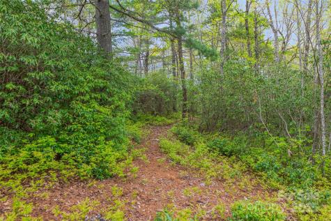3539 West Club Boulevard Lake Toxaway NC 28747