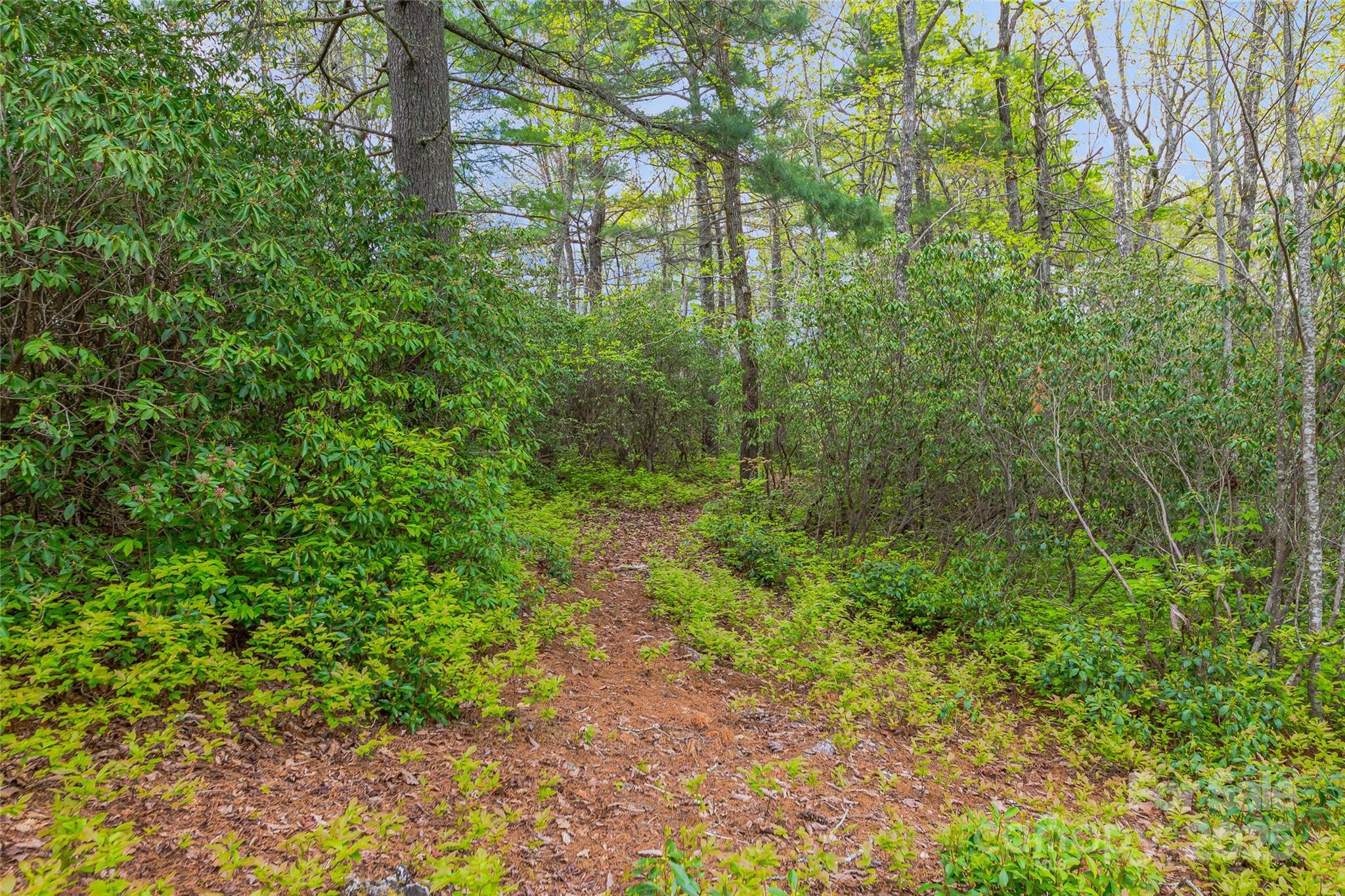 3539 West Club Boulevard Lake Toxaway NC 28747