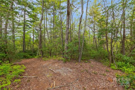 3539 West Club Boulevard Lake Toxaway NC 28747