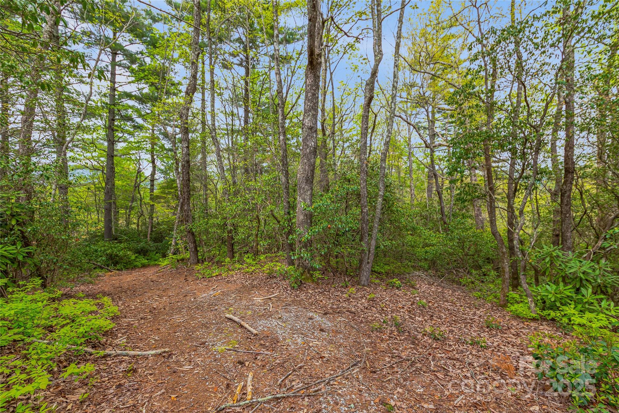 3539 West Club Boulevard Lake Toxaway NC 28747