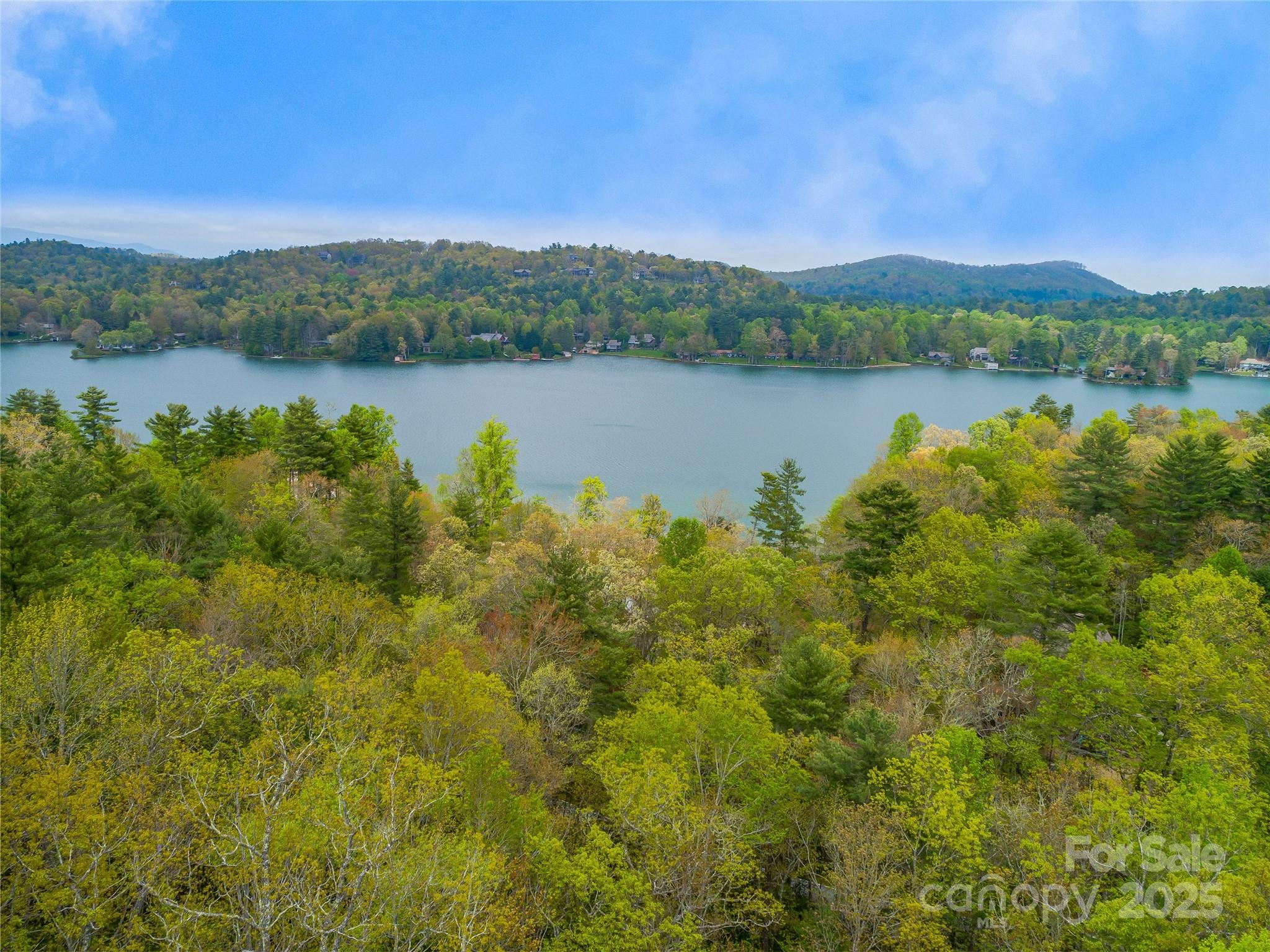 3539 West Club Boulevard Lake Toxaway NC 28747