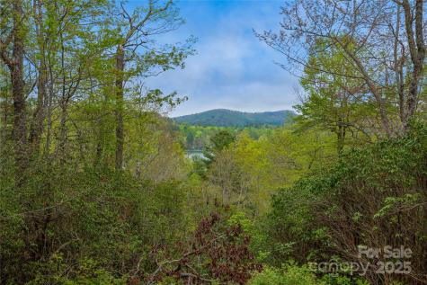 3539 West Club Boulevard Lake Toxaway NC 28747