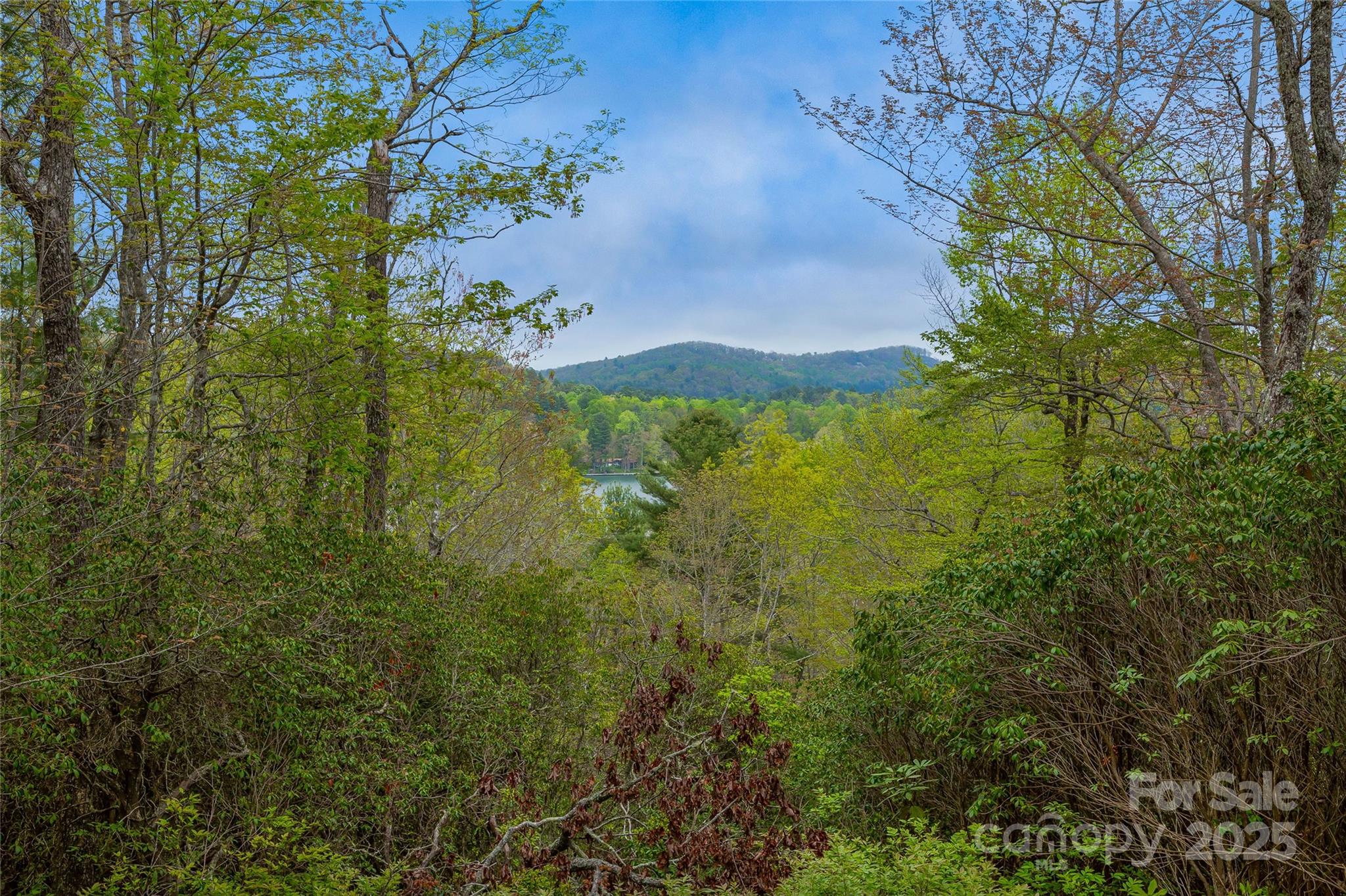 3539 West Club Boulevard Lake Toxaway NC 28747