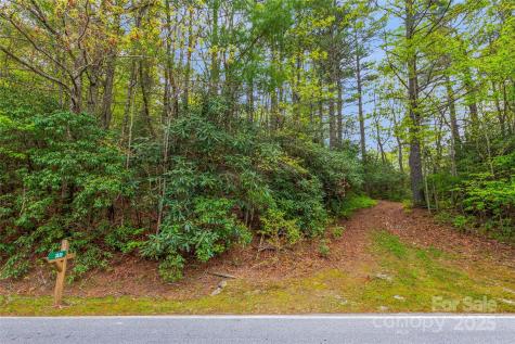 3539 West Club Boulevard Lake Toxaway NC 28747