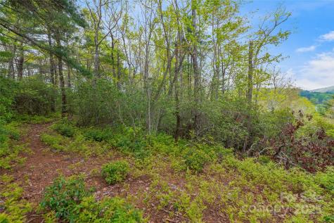 3539 West Club Boulevard Lake Toxaway NC 28747