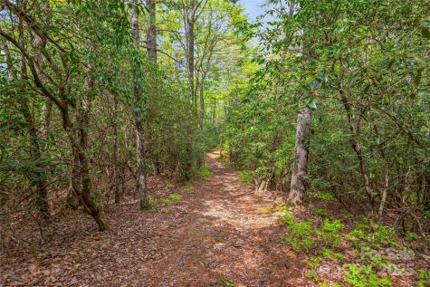3539 West Club Boulevard Lake Toxaway NC 28747