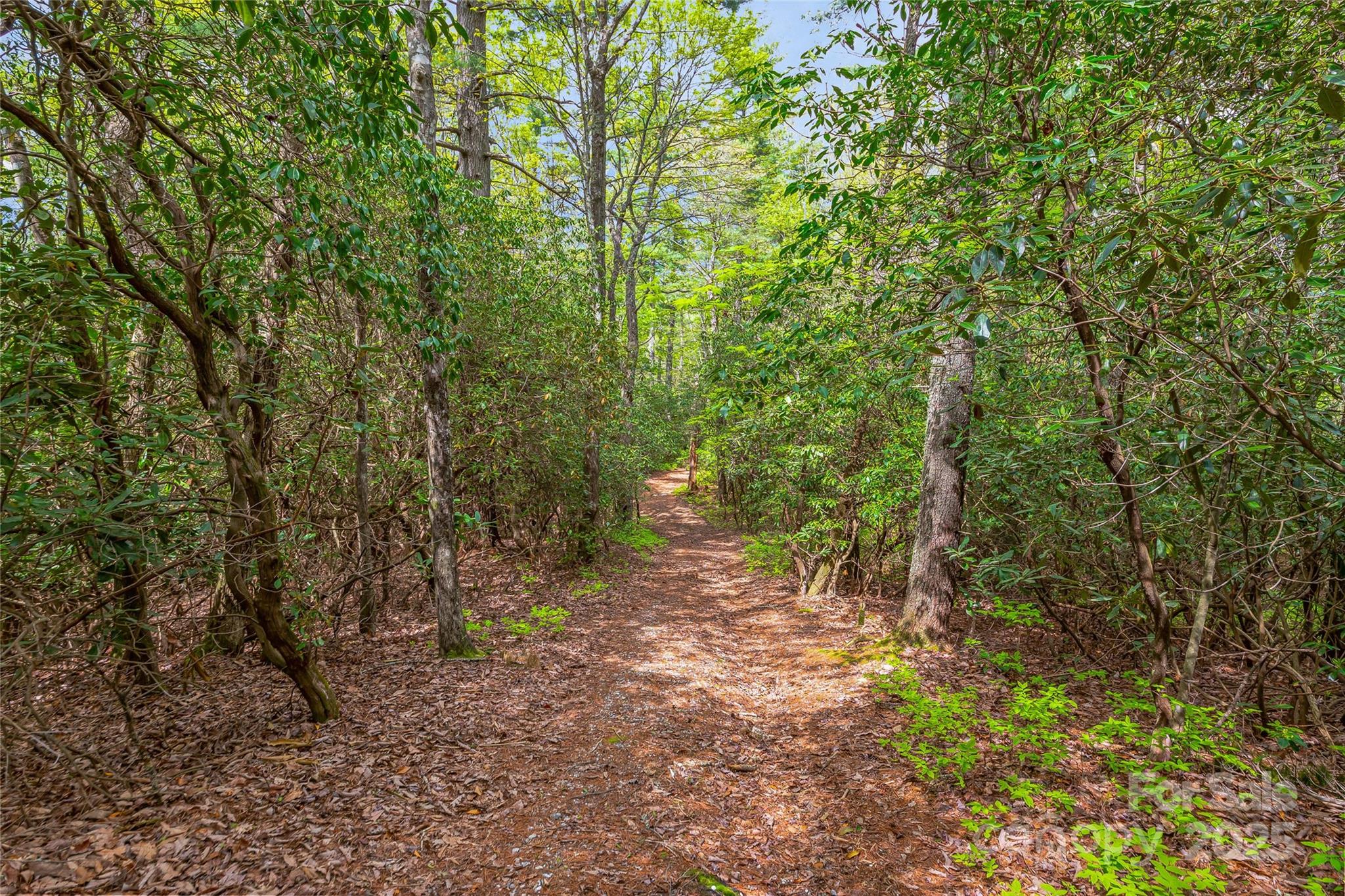 3539 West Club Boulevard Lake Toxaway NC 28747