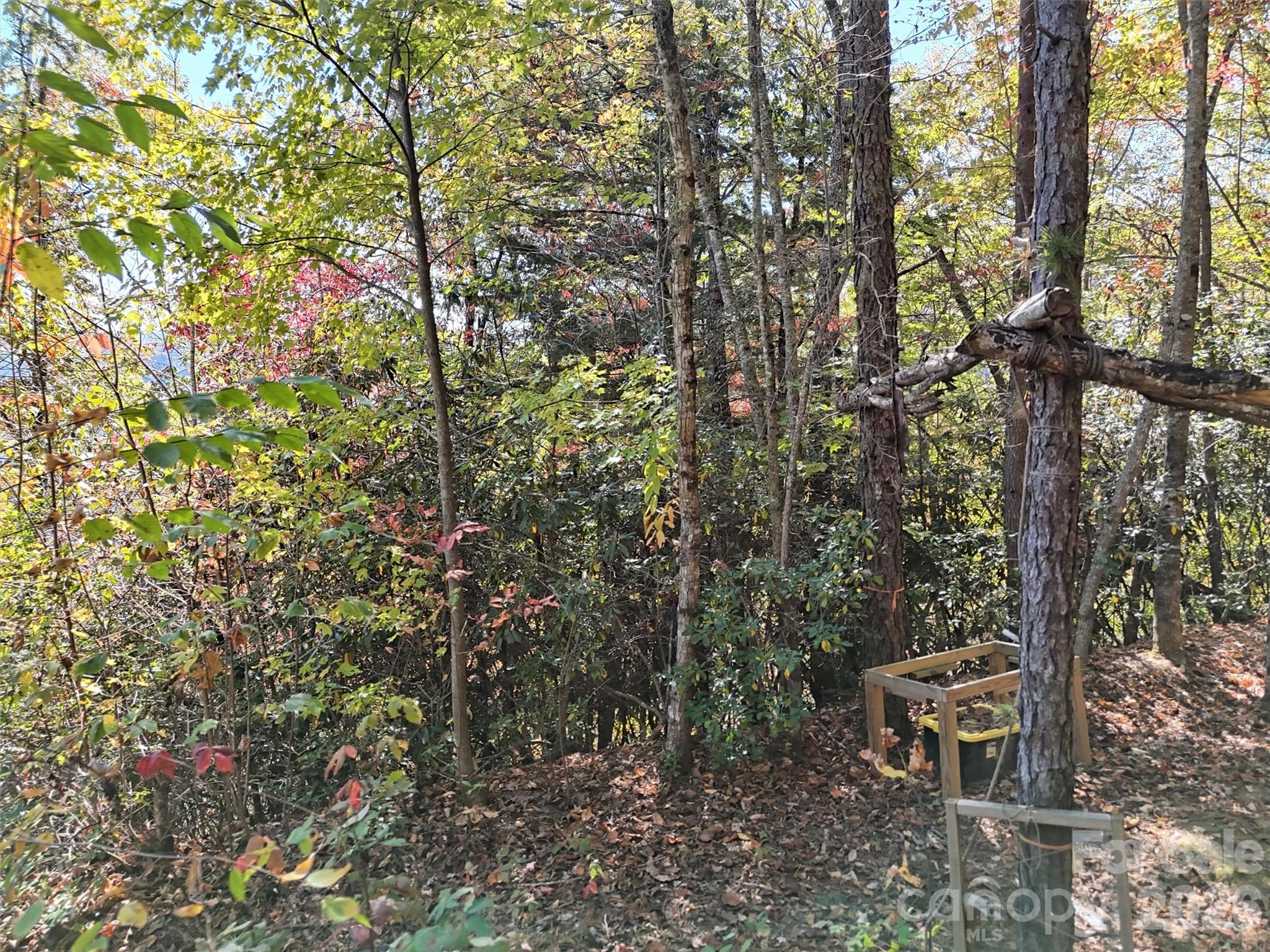 0 Mack Luke Road Whittier NC 28789