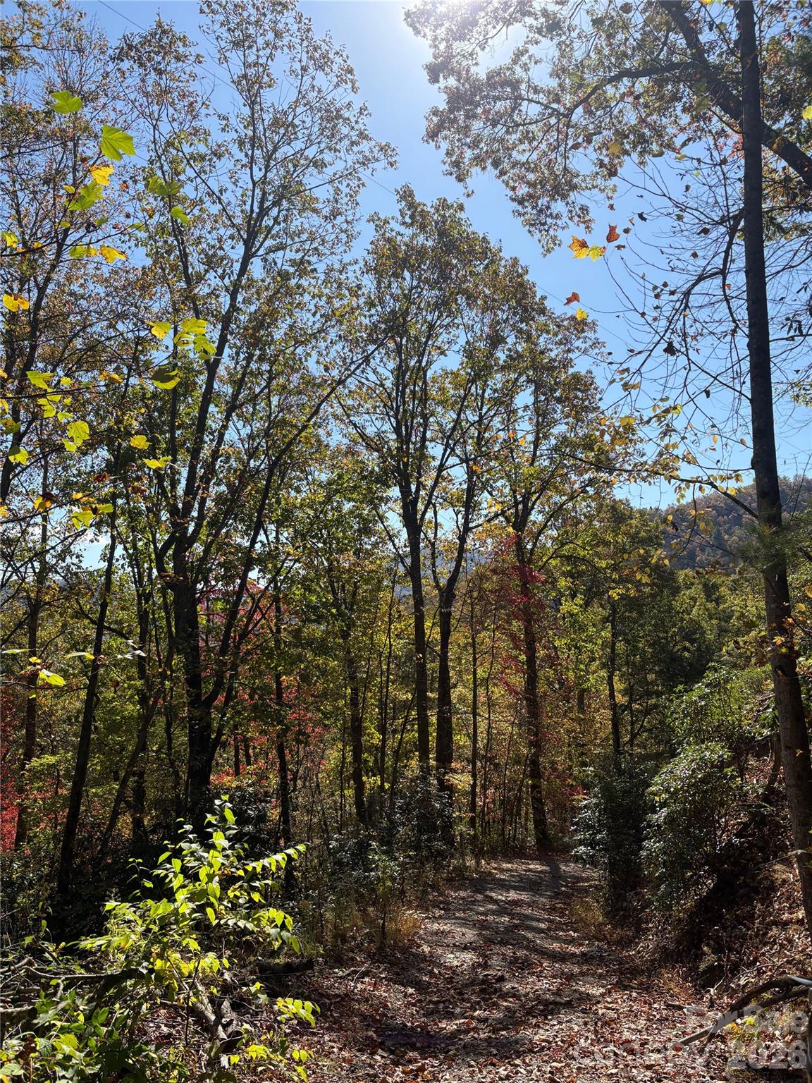 0 Mack Luke Road Whittier NC 28789