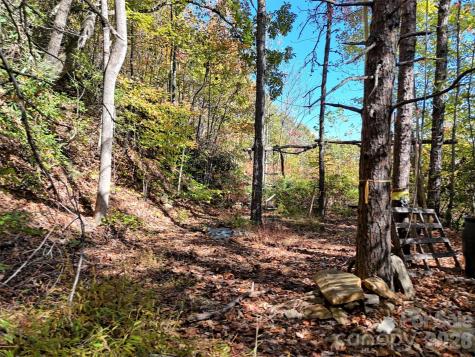 0 Mack Luke Road Whittier NC 28789