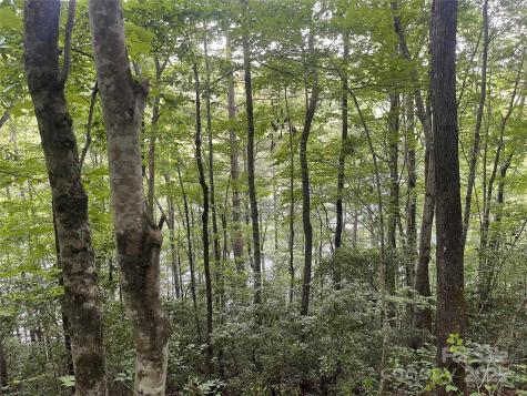 2642 Canada Road Tuckasegee NC 28783