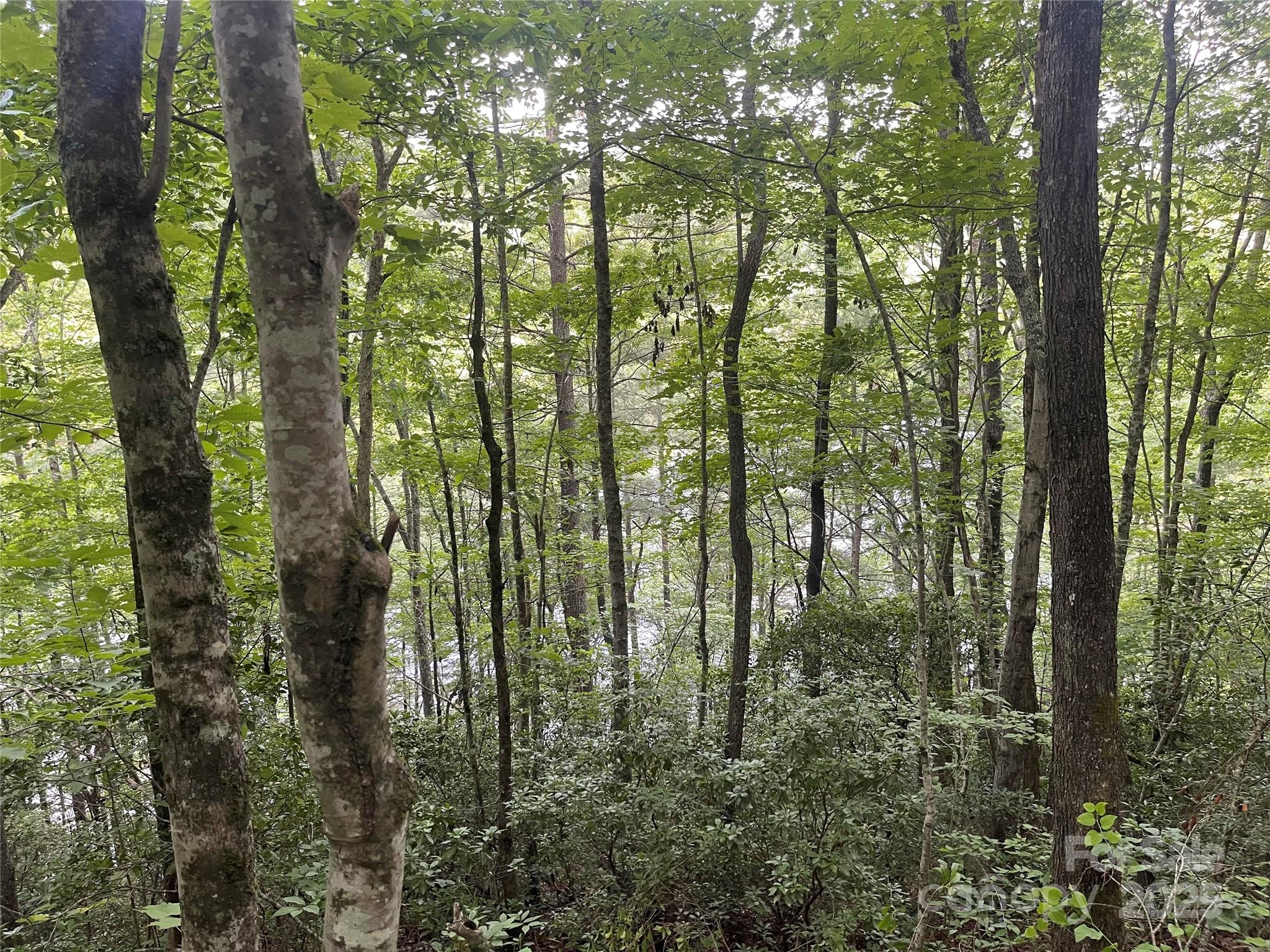 2642 Canada Road Tuckasegee NC 28783